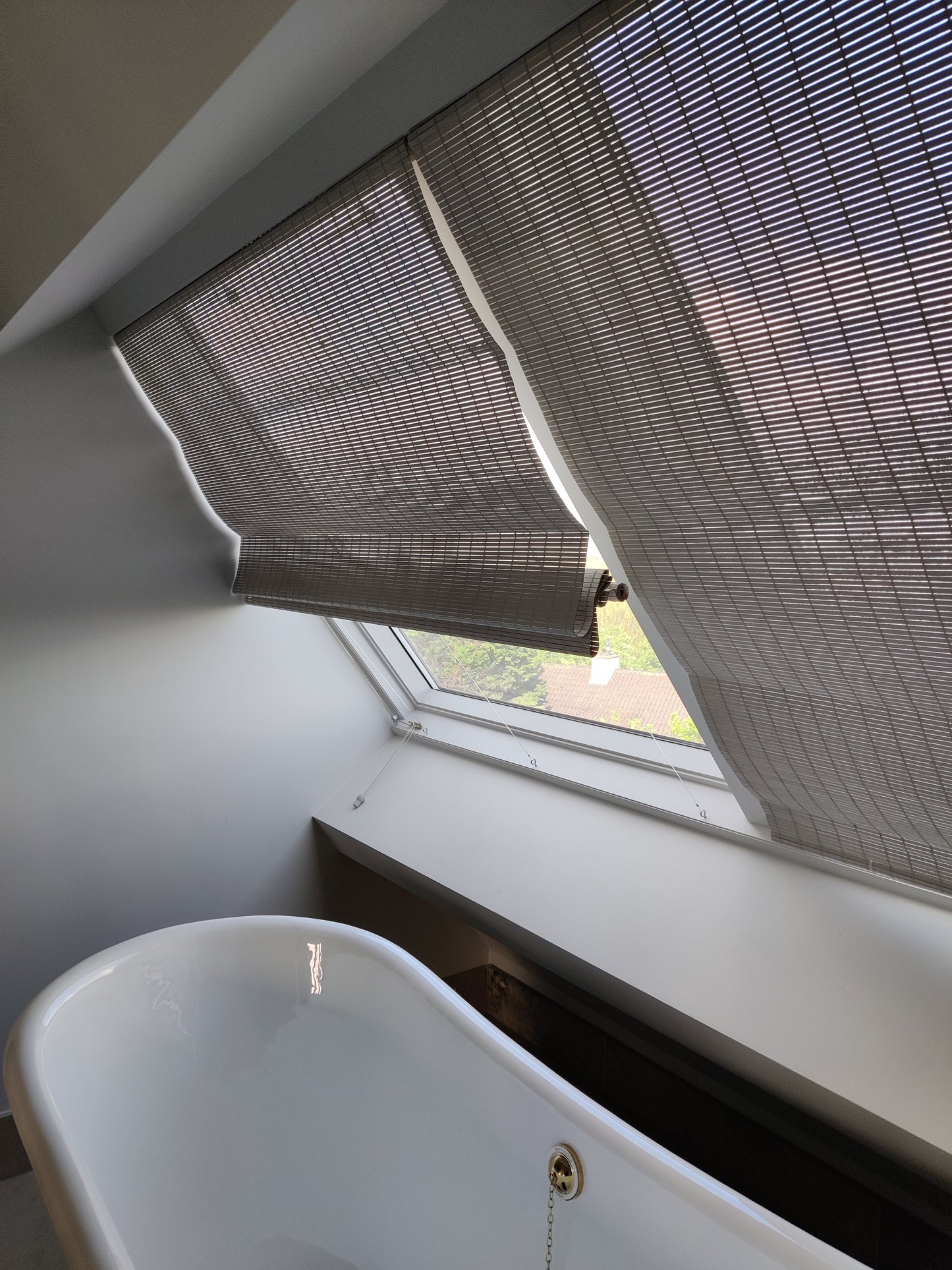 Bathroom blinds