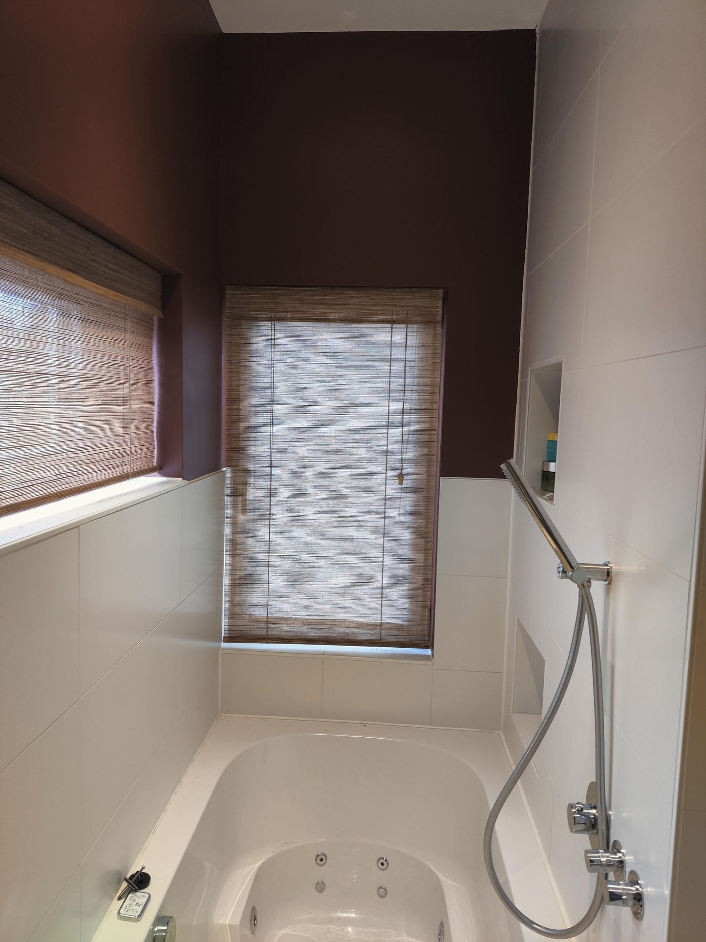Bathroom blinds